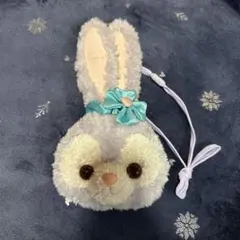 ディズニー　シー　ステラルー　コインケース　パスケーポシェット