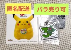 ポケモン 30周年 メタルチャームマスコット レックウザ　ピカチュウ ステッカー