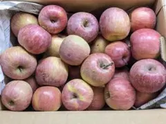 ネズミ様専用　18