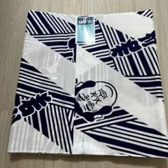 Item thumbnail for item b93dda92-30b5-466e-ad0c-60dae2678fd9