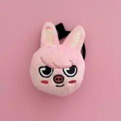 チャンビンdwaekki skzoo まとめ売り ぬいぐるみ 2025年最新】dwaekki ぬいぐるみの人気アイテム - メルカリ