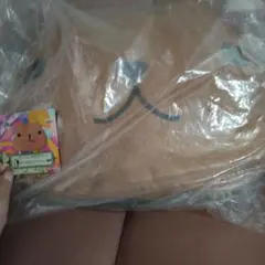 이치방쿠지 カピバラさん B賞 フェイスクッション