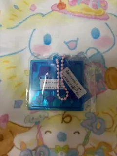 プラスチックモデル！アクリルキーチェーン マイメロディ