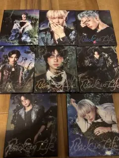 &TEAM エンティーム BacktoLife ソロジャケット