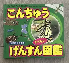 こんちゅうげんすん図鑑