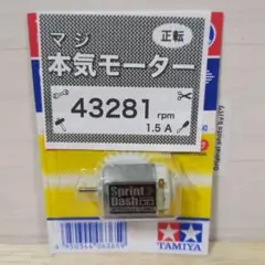 미니 4WD 스프린트 대시 모터, 손상됨, 전원 공급 장치 43281rpm B