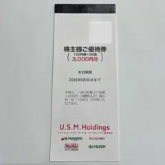 ユナイテッドスーパーマーケット 株主優待券3000円分