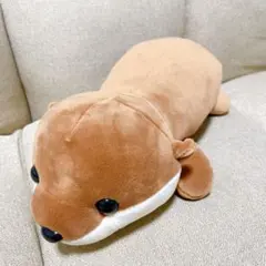 2025年最新】カワウソ ぬいぐるみ くじの人気アイテム - メルカリ