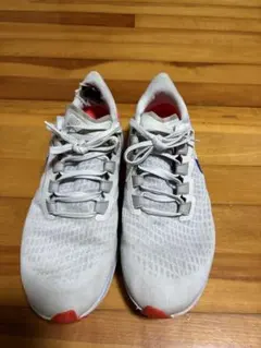 NIKEエア ズーム ペガサス37 26.5cm 値下げ！
