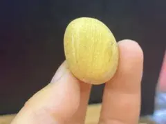 2026年最新】エンセファラルトス 種子の人気アイテム - メルカリ