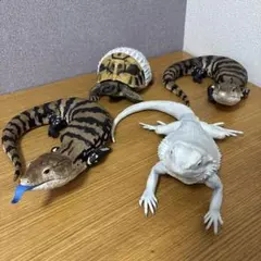 り*り様 一番くじ 爬虫類＆両生類 B賞 ボールパイソン フィギュア 開封
