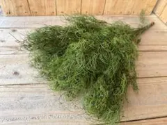 あずき様 リクエスト 9点 まとめ商品