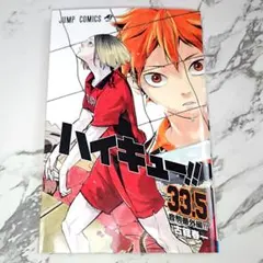 ハイキュー!!ゴミ捨て場の決戦 入場者特典 第7弾 33.5巻