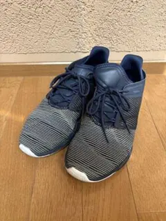 Reebok ネイビー シューズ