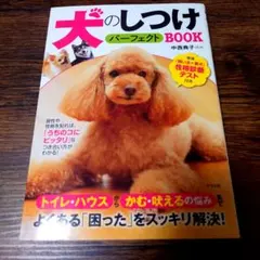 Item thumbnail for item db60721c-2af4-46fb-a583-608ca5d80571