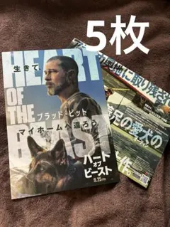 映画 ハート・オブ・ビースト チラシ フライヤー - メルカリ