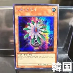 遊戯王 人喰い植物 初期 ブースター - メルカリ