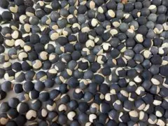 user_63daae61様 リクエスト 2点 まとめ商品