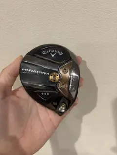 パラダイム　トリプルダイヤモンド　5w 18度のサムネイル