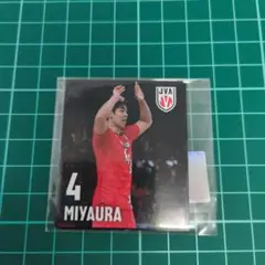 宮浦健人 バレーボール