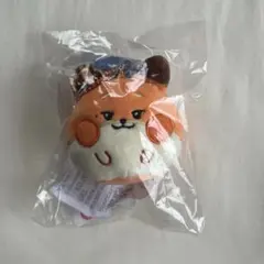 ZEROBASEONE zeroniテュニニ ふわふわフェイスキーリング メテュ