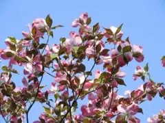 ✨ ぽんぽん✨様 リクエスト 3点 まとめ商品