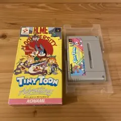 SFC タイニー・トゥーン アドベンチャーズ