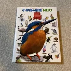 鳥　図鑑ネオ