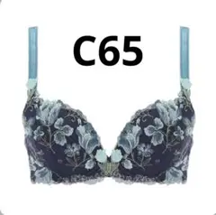 トリンプレッドレーベルバイトリンプ 天使のブラ スリムライン 0096