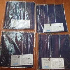 Item thumbnail for item 773947d1-fe68-4dc9-95ea-cb49a1184341