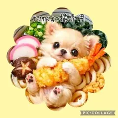 【3月】tamago様専用