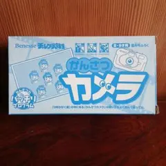 Benesse チャレンジ3年生　かんさつカメラのサムネイル
