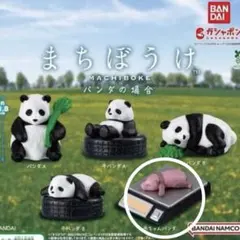 【まちぼうけ】パンダの場合 赤ちゃんパンダ