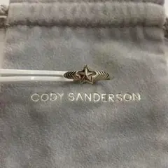 2025年最新】Cody Sanderson コディーサンダーソンの人気