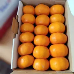 みけちゃん様 リクエスト 3点 まとめ商品