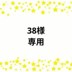 38様☆専用出品　ヒキコウモリ、むりだ城、老いらん