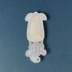 アオリイカのマグネット