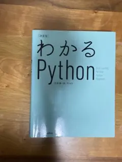 python IT