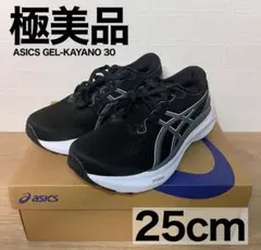 【極美品】ASICS アシックスGEL-KAYANO 30 ゲルカヤノ25cm