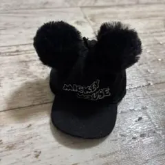 ディズニー ファンキャップ　ポンポン　キーチェーン　キーホルダー