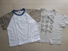 綿100% Tシャツ 2枚セット 100cm BREEZE しまむら