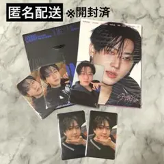 straykids karma アルバム トレカ チャンビン