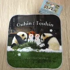 2025年最新】アドベンチャーワールド タオルの人気アイテム - メルカリ