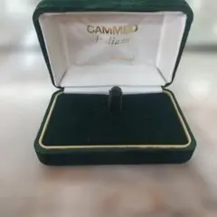 Item thumbnail for item d270efe1-8f23-406e-9ed6-b87eff90466f