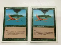 【MTG　極楽鳥】日本語版　マジック・ザ・ギャザリング　2枚セット