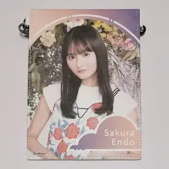 乃木坂46 遠藤さくら 個別チケットホルダー - メルカリ