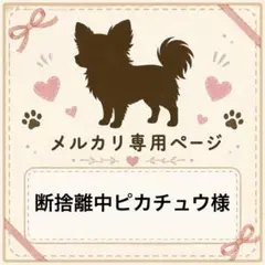 専用　断捨離中ピカチュウ様