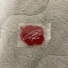 2PM Jun.K ジュンケイ サイン入り ピンクバッジ - メルカリ