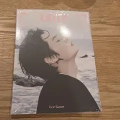 Stray Kids DO IT Accordion リノ