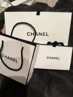 CHANEL ショップ袋 3点セット